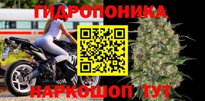 прущие крисы Будённовск
