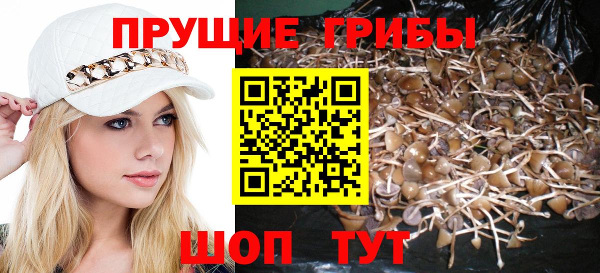 продажа наркотиков  Вход с VPN  Реутов  Галлюциногенные грибы MAGIC MUSHROOMS 
